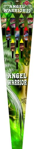 Angel Warrior 10